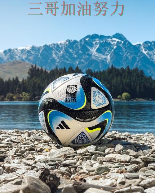 FIFA World Cup 2026期间热门世界杯投注平台推荐揭秘与直播入口分析
